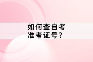 如何查自考準考證號？