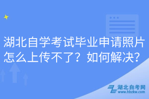 湖北自學(xué)考試畢業(yè)申請(qǐng)照片怎么上傳不了？如何解決？