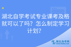 湖北自學考試專業(yè)課考及格就可以了嗎？怎么制定學習計劃？