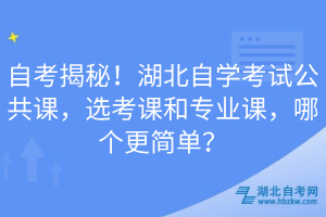 自考揭秘！湖北自學考試公共課，選考課和專業(yè)課，哪個更簡單？