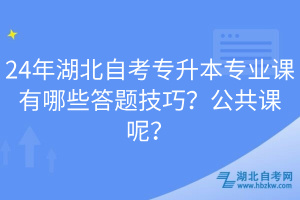 24年湖北自考專升本專業(yè)課有哪些答題技巧？公共課呢？