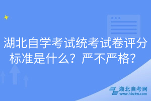 湖北自學考試統(tǒng)考試卷評分標準是什么？嚴不嚴格？