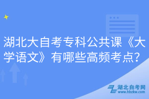 湖北大自考?？乒舱n《大學語文》有哪些高頻考點？