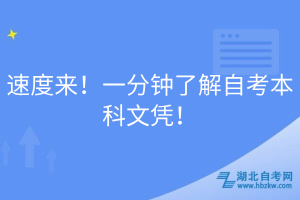 速度來！一分鐘了解自考本科文憑！