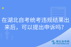 在湖北自考統(tǒng)考違規(guī)結(jié)果出來后，可以提出申訴嗎？