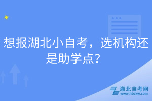 想報湖北小自考，選機構(gòu)還是助學(xué)點？