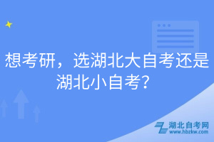 想考研，選湖北大自考還是湖北小自考？