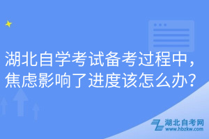 湖北自學考試備考過程中，焦慮影響了進度該怎么辦？