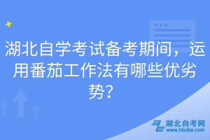 湖北自學考試備考期間，運用番茄工作法有哪些優(yōu)劣勢？