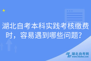 湖北自考本科實(shí)踐考核繳費(fèi)時(shí)，容易遇到哪些問題？