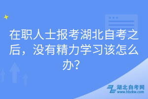 在職人士報考湖北自考之后，沒有精力學習該怎么辦？