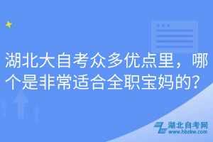 湖北大自考眾多優(yōu)點(diǎn)里，哪個(gè)是非常適合全職寶媽的？