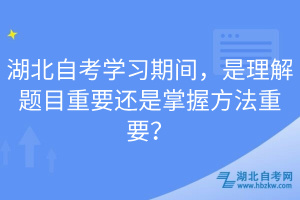 湖北自考學(xué)習(xí)期間，是理解題目重要還是掌握方法重要？