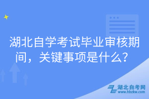 湖北自學(xué)考試畢業(yè)審核期間，關(guān)鍵事項(xiàng)是什么？