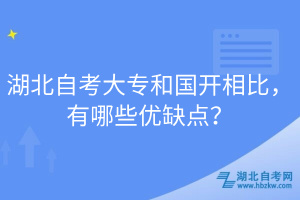 湖北自考大專和國(guó)開(kāi)相比，有哪些優(yōu)缺點(diǎn)？