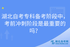 湖北自考?？苽淇茧A段中，考前沖刺階段是最重要的嗎？