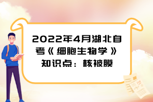 2022年4月湖北自考《細(xì)胞生物學(xué)》知識(shí)點(diǎn)：核被膜