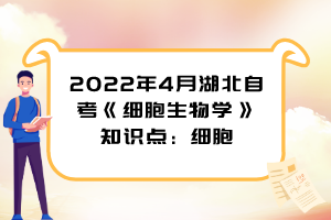 2022年4月湖北自考《細(xì)胞生物學(xué)》知識(shí)點(diǎn)：細(xì)胞