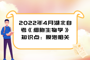 2022年4月湖北自考《細(xì)胞生物學(xué)》知識(shí)點(diǎn)：膜泡相關(guān)