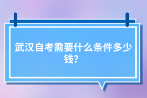 武漢自考需要什么條件多少錢？