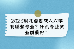 2023湖北自考成人大學(xué)有哪些專業(yè)？什么專業(yè)就業(yè)前景好？