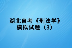 湖北自考《刑法學(xué)》模擬試題（3）