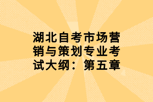 湖北自考市場營銷與策劃專業(yè)考試大綱：第五章