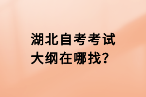 湖北自考考試大綱在哪找？