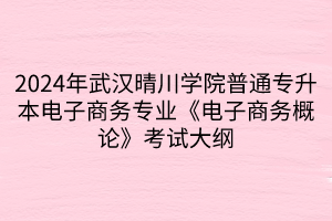 2024年武漢晴川學院普通專升本電子商務專業(yè)《電子商務概論》考試大綱(1)