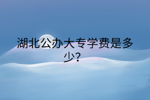 湖北公辦大專學(xué)費(fèi)是多少？