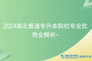 2024湖北普通專升本院校專業(yè)優(yōu)勢(shì)全解析~