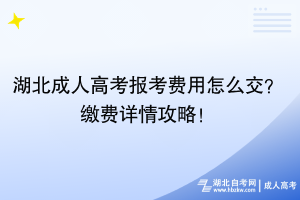 湖北成人高考報(bào)考費(fèi)用怎么交？繳費(fèi)詳情攻略！