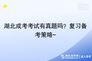 湖北成考考試有真題嗎？復(fù)習(xí)備考策略~