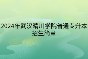 2024年武漢晴川學(xué)院普通專升本招生簡(jiǎn)章