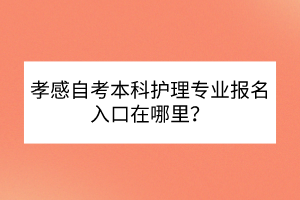 孝感自考本科護(hù)理專業(yè)報(bào)名入口在哪里？