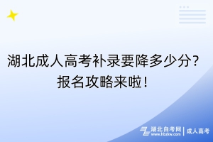 湖北成人高考補錄要降多少分？報名攻略來啦！