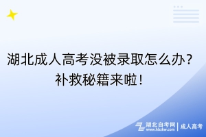 湖北成人高考沒被錄取怎么辦？補救秘籍來啦！