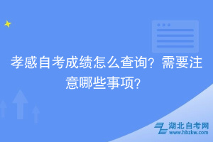 孝感自考成績(jī)?cè)趺床樵?？需要注意哪些事?xiàng)？