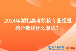 2024年湖北高考院校專業(yè)組投檔分數(shù)線什么意思？