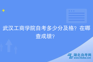 武漢工商學(xué)院自考多少分及格？在哪查成績？