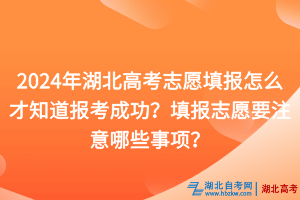 2024年湖北高考志愿填報怎么才知道報考成功？填報志愿要注意哪些事項？