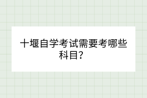 十堰自學(xué)考試需要考哪些科目？