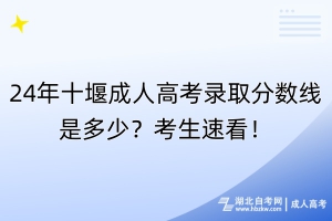 24年十堰成人高考錄取分?jǐn)?shù)線是多少？考生速看！