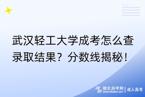 武漢輕工大學(xué)成考怎么查錄取結(jié)果？分?jǐn)?shù)線揭秘！