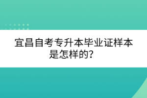 宜昌自考專升本畢業(yè)證樣本是怎樣的？