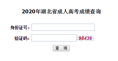 2020年江漢大學成人高考成績查詢入口