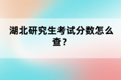 湖北研究生考試分?jǐn)?shù)怎么查？